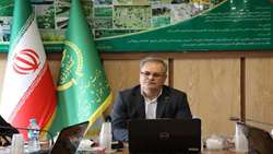 پیش بینی صرفه‌جویی ۱۰ درصدی آب با اجرای الگوی کشت در سال زراعی ۱۴۰۴